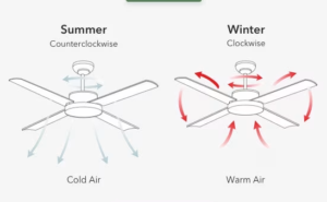 How to reduce moisture in room in rainy season?